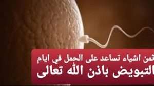 أشياء تساعد على الحمل في أيام التبويض