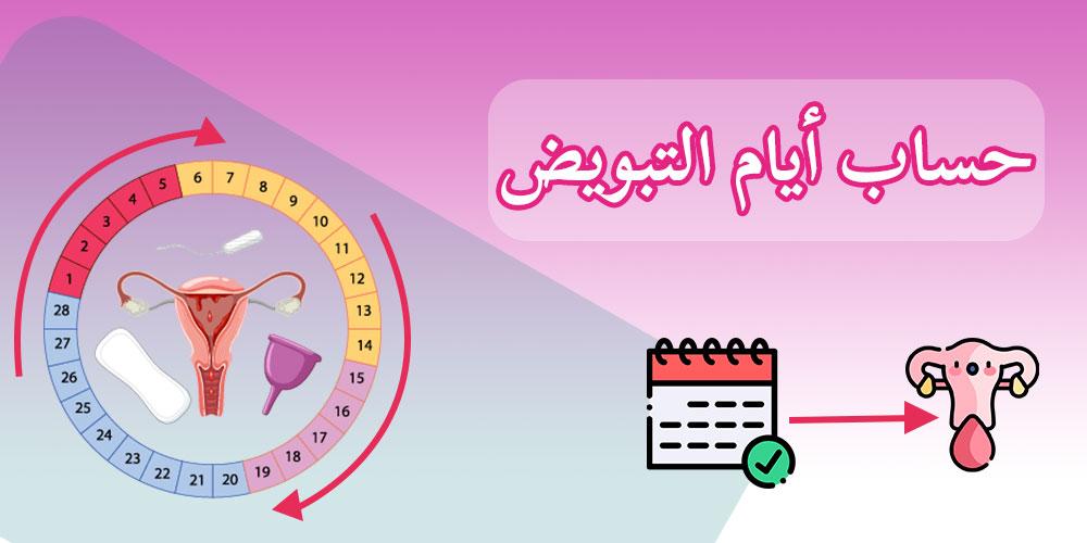 أهمية ‌معرفة جدول أيام التبويض
