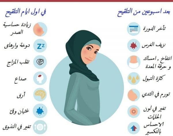 التبويض بعد الدورة