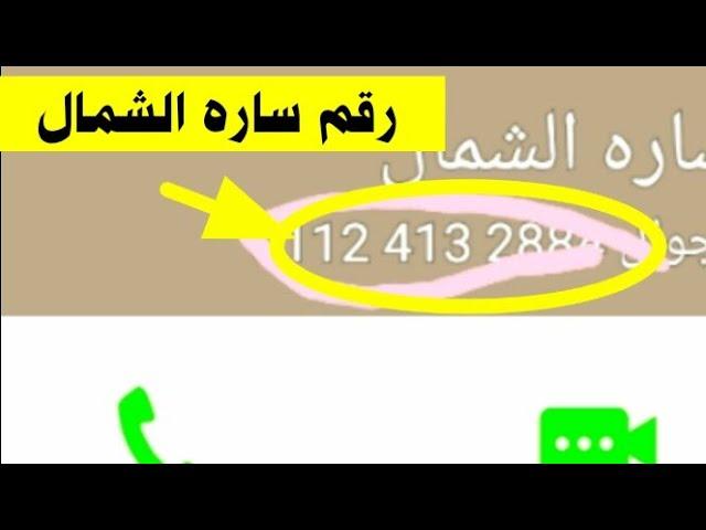 الأسباب وراء زيادة شعبية هذا النوع من⁣ التطبيقات