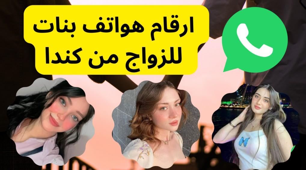 ارقام بنات شمال للتعارف , ارقام تليفونات ارامل 2024  ارقام بنات شمال