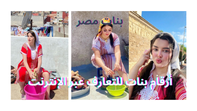 طرق مضمونة للحصول على أرقام بنات للتعارف عبر الإنترنت أرقام بنات للتعارف عبر الإنترنت