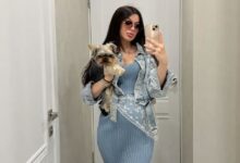 ارقام بنات للتعارف تليجرام 2026: دليل أفضل القنوات والجروبات النشطة